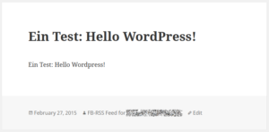 WordPress Post