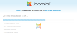 Abbildung 8 - Installation von Joomla
