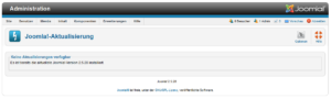 Joomla - Aktualisierung - Optionen